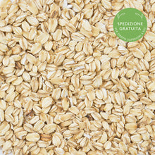 Carica l'immagine nel visualizzatore di Gallery, Avena Fiocchi piccoli Gluten-free