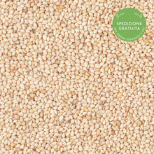 Carica l'immagine nel visualizzatore di Gallery, Semi di Sesamo decorticato