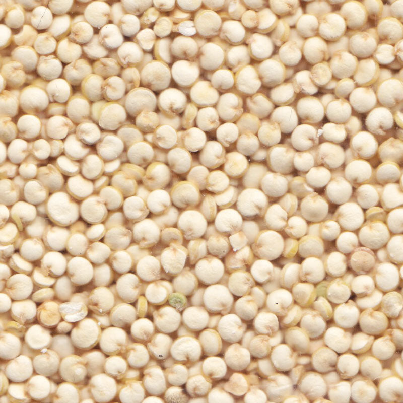 Semi di Quinoa White –  - Energia, equilibrio, eccellenza