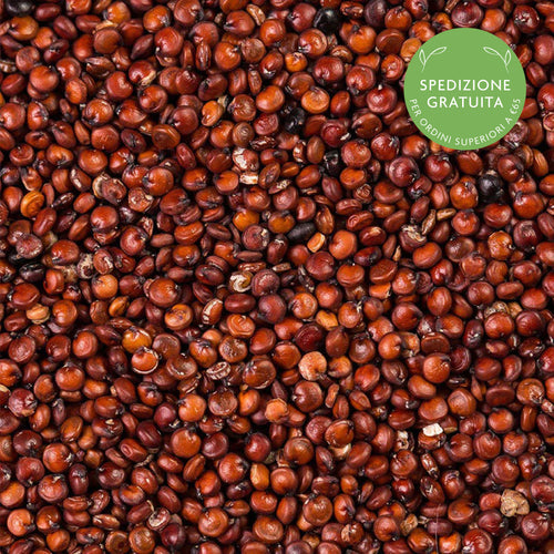 Semi di Quinoa Rossa