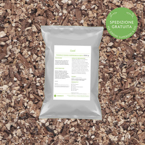 Tarassaco radice da 1000 g