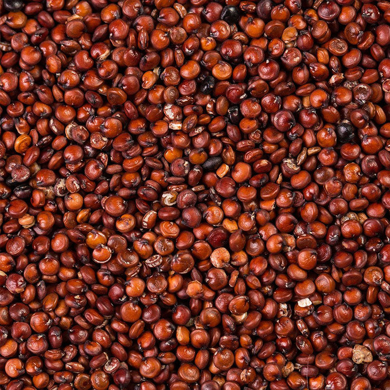 Semi di Quinoa Rossa
